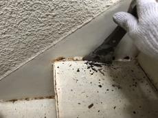 20180826_所沢市弥生町 屋根・外壁、雨戸、階段塗装102.JPG