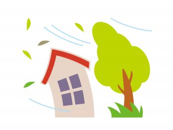 棟板金　風　影響