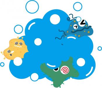 親水性塗膜　塗料　効果　所沢市