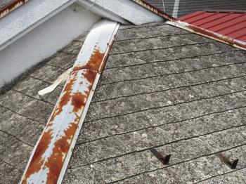 変換 ~ 飯能市 屋根カバー・外壁塗装 現地調査 (8).jpg