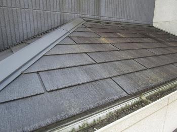 変換 ～ 飯能市　屋根塗装　外壁塗装　現地調査 (11).jpg