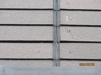 IMG_5193.jpg