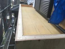 変換 ～ 20180731-hannnouKsamaberannda08.jpg