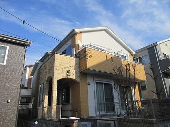 IMG_5213.jpg