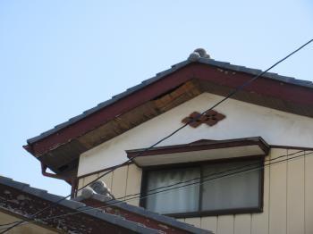 変換 ~ 飯能市 下屋根・外壁塗装、ベランダ設置工事 現地調査 (16).jpg