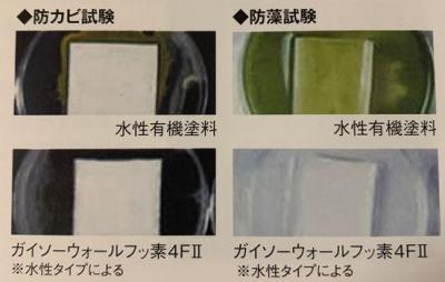 狭山市　ガイソーウォールフッ素　防カビ　防藻性