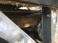 変換 ～ 20180731-hannnouKsamaberannda13.jpg