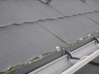 入間市　屋根塗装　外壁塗装　ベランダ防水　現地調査 (5).jpg