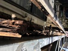 変換 ～ 20180731-hannnouKsamaberannda03.jpg