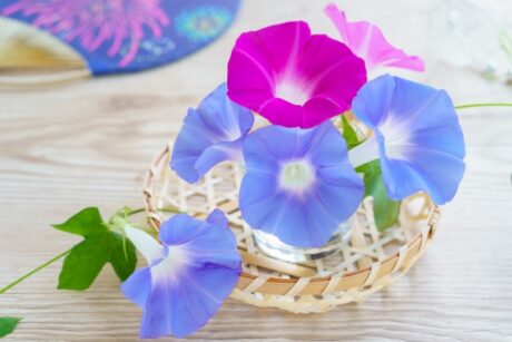 絶対後悔しない!エコキュート導入前に知っておくべき基礎知識・3選 所沢市