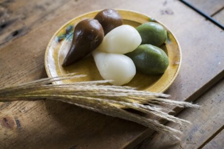 【現地調査】入間市|トイレ交換工事 現地調査とウォシュレットの歴史