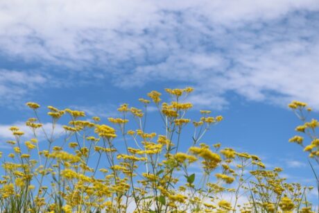 【現地調査】所沢市｜隣家との距離が近い場合のエコキュート交換