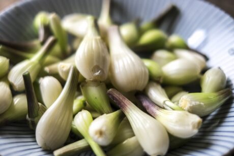 所沢市｜補助金を使用したエコキュート交換工事　施工事例アップしました！