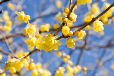 所沢市｜追いだき中に停止！設置30年の給湯器を交換～施工事例アップしました！