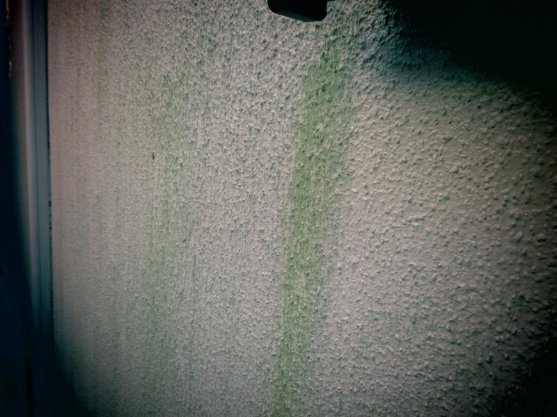 狭山市　外壁塗装　ベランダ防水工事　現場調査 (8).JPG