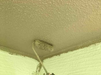 変換 ～ 飯能市　屋根カバー工事　外壁塗装工事　付帯部塗装 (16).jpg