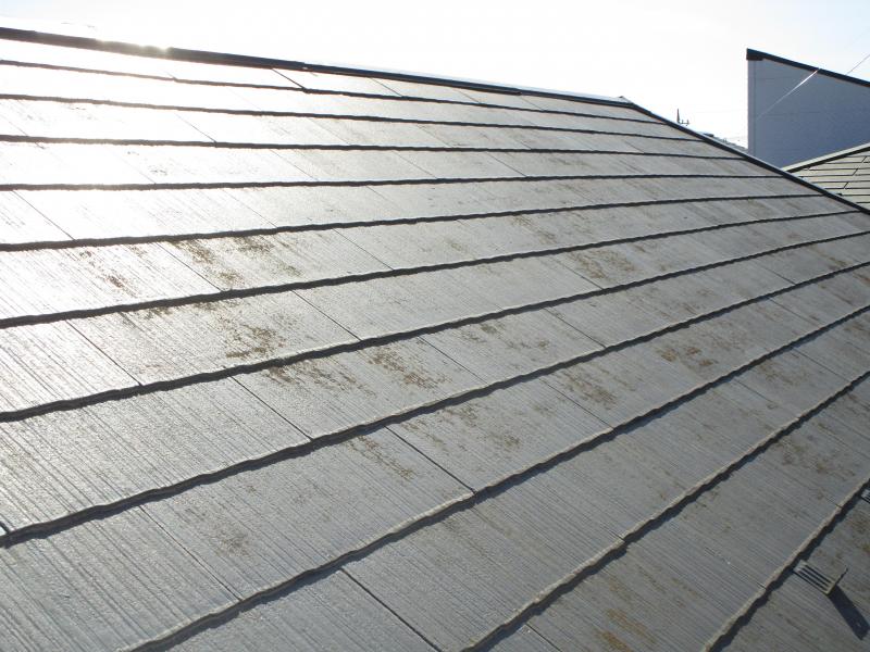 狭山市　屋根カバー、下屋根塗装工事　現地調査 (4).JPG