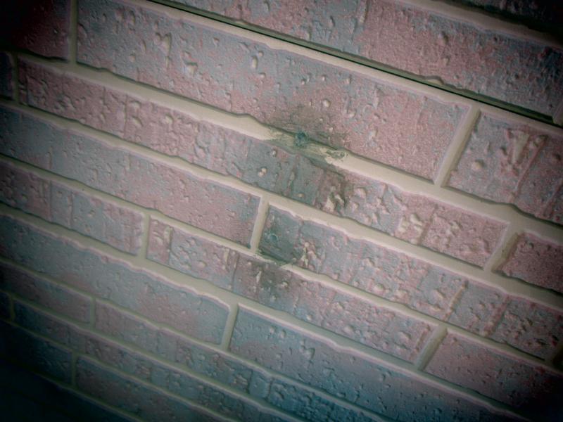 入間市　屋根カバー　外壁塗装工事　現地調査 (11).JPG