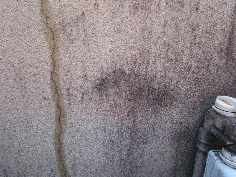 入間市　屋根外壁塗装　壁紙張り替え　現地調査 (3).JPG