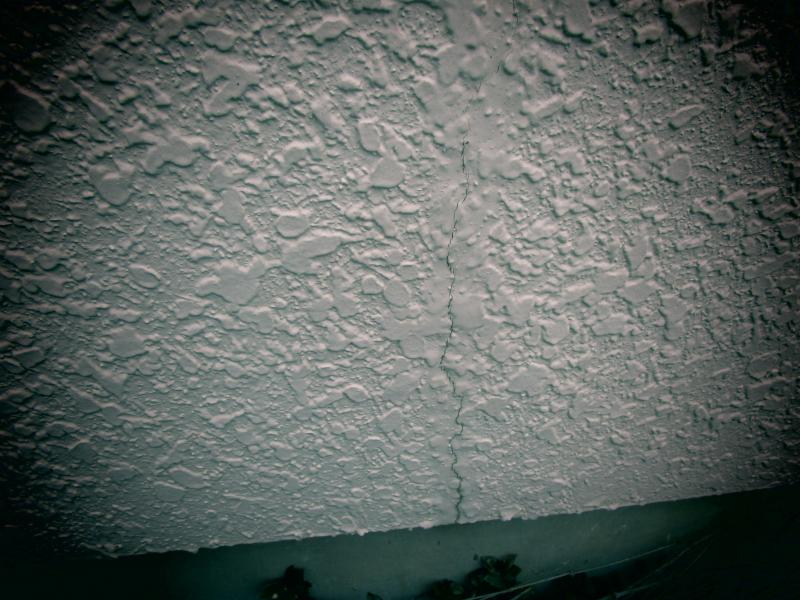 狭山市　屋根葺き替え　外壁塗装　施工前 (11).JPG