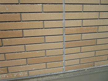 IMG_4675.jpg