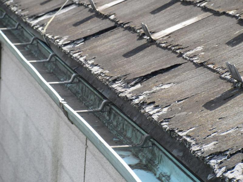 入間市　屋根カバー　外壁塗装　現地調査 (4).JPG