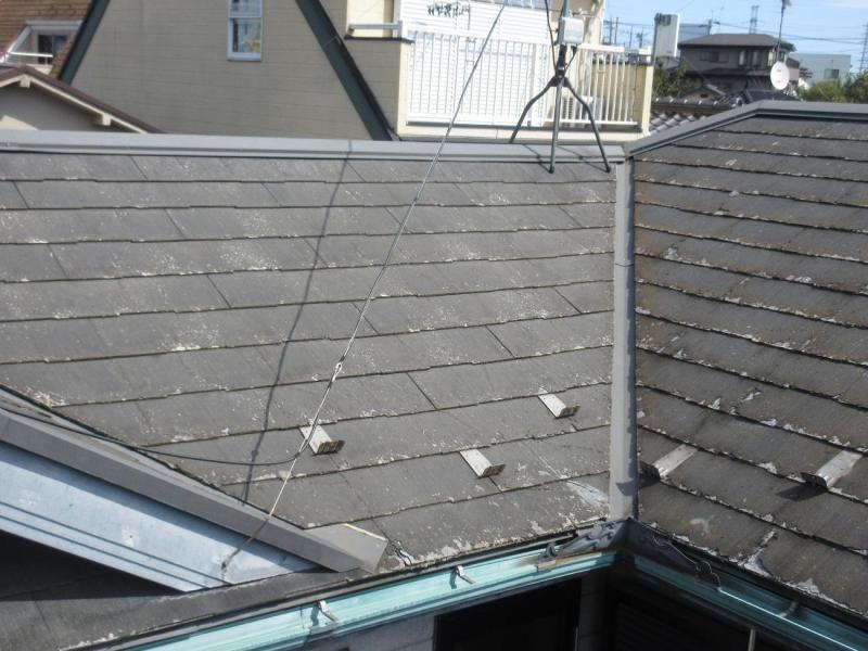 入間市　屋根カバー　外壁塗装　現地調査 (2).JPG