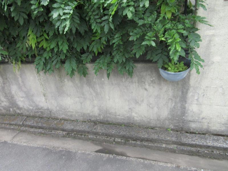 所沢市　屋根塗装　外壁塗装　施工前 (2).JPG