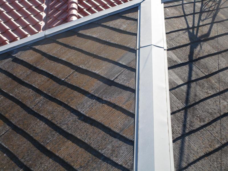 入間市　屋根カバー、外壁塗装工事 施工前 (5).JPG